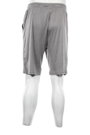 Ανδρικό κοντό παντελόνι Crivit, Μέγεθος L, Χρώμα Γκρί, Τιμή 11,75 €