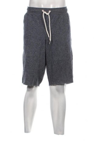 Ανδρικό κοντό παντελόνι Livergy, Μέγεθος XL, Χρώμα Πολύχρωμο, Τιμή 24,00 €
