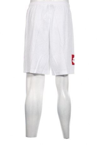 Ανδρικό κοντό παντελόνι Lotto, Μέγεθος XXL, Χρώμα Λευκό, Τιμή 8,66 €
