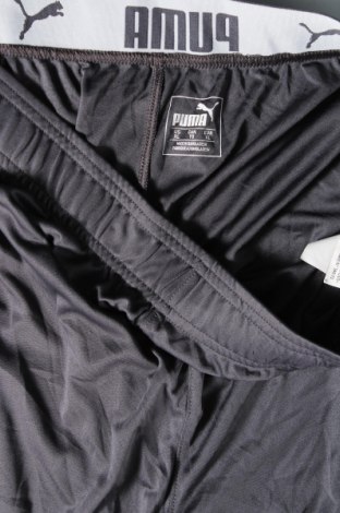 Ανδρικό κοντό παντελόνι PUMA, Μέγεθος XL, Χρώμα Γκρί, Τιμή 12,62 €