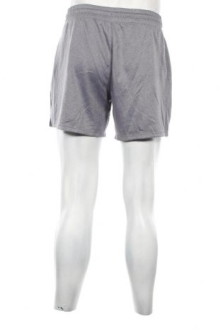 Ανδρικό κοντό παντελόνι Sports Performance by Tchibo, Μέγεθος M, Χρώμα Γκρί, Τιμή 11,75 €