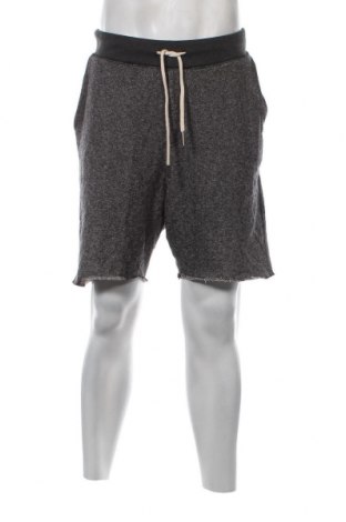 Pantaloni scurți de bărbați Sublevel, Mărime XL, Culoare Gri, Preț 46,88 Lei
