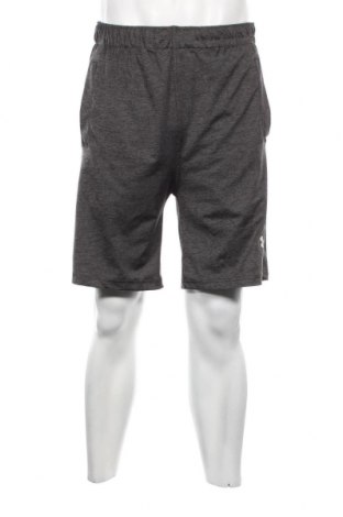 Herren Shorts Under Armour, Größe L, Farbe Grau, Preis 14,20 €