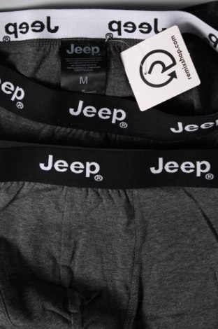 Herrenset Jeep, Größe M, Farbe Grau, Preis 15,78 €