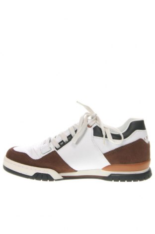 Ανδρικά παπούτσια Lacoste, Μέγεθος 43, Χρώμα Πολύχρωμο, Τιμή 112,89 €