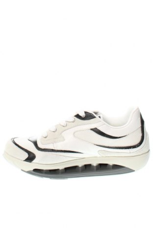 Ανδρικά παπούτσια Scholl, Μέγεθος 45, Χρώμα Πολύχρωμο, Τιμή 43,47 €