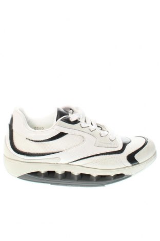 Ανδρικά παπούτσια Scholl, Μέγεθος 45, Χρώμα Πολύχρωμο, Τιμή 31,96 €