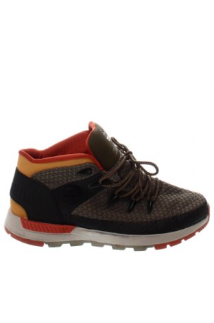Ανδρικά παπούτσια Timberland, Μέγεθος 43, Χρώμα Πολύχρωμο, Τιμή 63,09 €