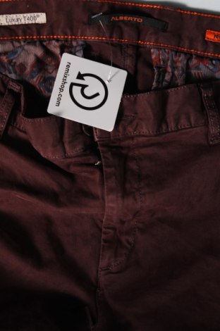 Pánské kalhoty  Alberto, Velikost L, Barva Červená, Cena  237,00 Kč