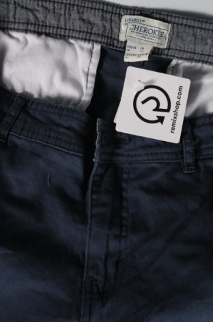 Ανδρικό παντελόνι Livergy, Μέγεθος M, Χρώμα Μπλέ, Τιμή 6,28 €