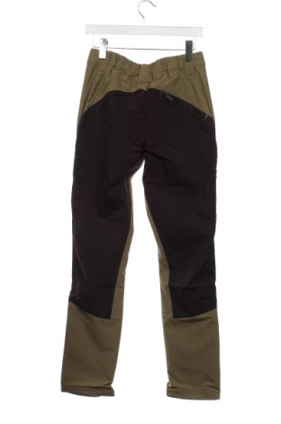 Ανδρικό παντελόνι Nomad, Μέγεθος S, Χρώμα Πράσινο, Τιμή 12,78 €
