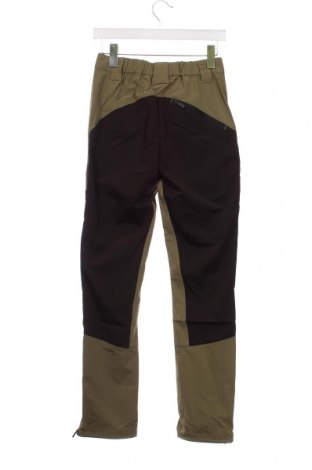 Ανδρικό παντελόνι Nomad, Μέγεθος XS, Χρώμα Πράσινο, Τιμή 12,78 €