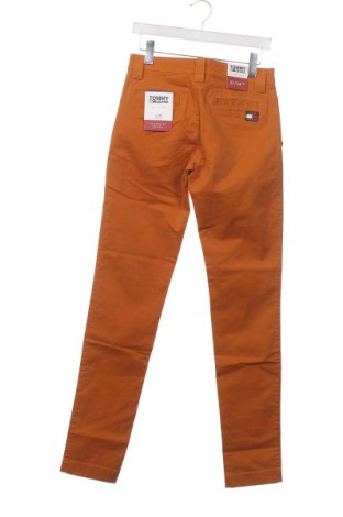 Pantaloni de bărbați Tommy Jeans, Mărime S, Culoare Maro, Preț 87,24 Lei