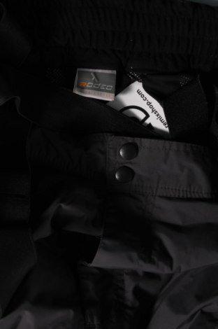 Ανδρικό παντελόνι για χειμερινά σπορ Rodeo, Μέγεθος L, Χρώμα Γκρί, Τιμή 20,88 €