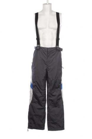 Ανδρικό παντελόνι για χειμερινά σπορ Top Tex, Μέγεθος L, Χρώμα Γκρί, Τιμή 23,20 €