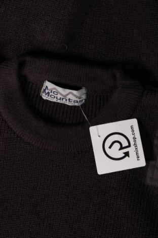 Pánsky sveter , Veľkosť M, Farba Zelená, Cena  5,75 €