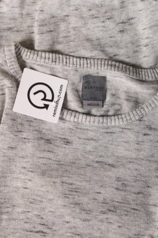 Ανδρικό πουλόβερ Bertoni, Μέγεθος M, Χρώμα Γκρί, Τιμή 9,55 €