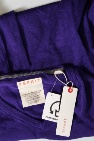Ανδρικό πουλόβερ Esprit, Μέγεθος XS, Χρώμα Βιολετί, Τιμή 16,67 €