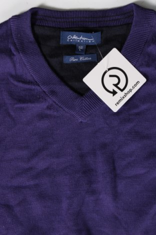 Ανδρικό πουλόβερ Hention, Μέγεθος L, Χρώμα Βιολετί, Τιμή 9,69 €