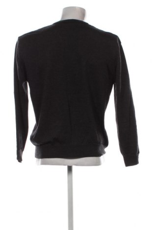 Ανδρικό πουλόβερ Peter Fitch, Μέγεθος L, Χρώμα Γκρί, Τιμή 9,15 €