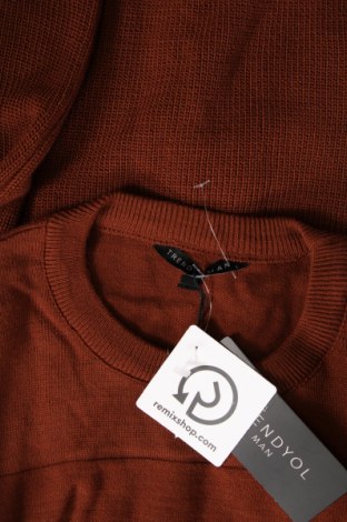 Ανδρικό πουλόβερ Trendyol, Μέγεθος L, Χρώμα Καφέ, Τιμή 17,86 €
