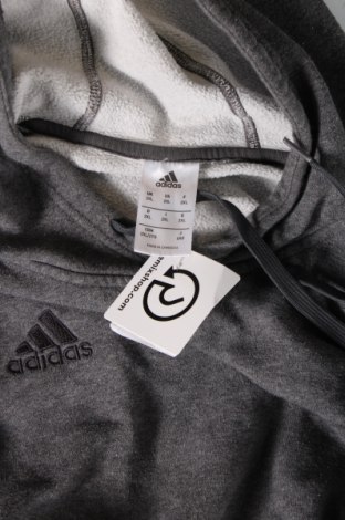 Ανδρικό φούτερ Adidas, Μέγεθος XXL, Χρώμα Γκρί, Τιμή 33,00 €