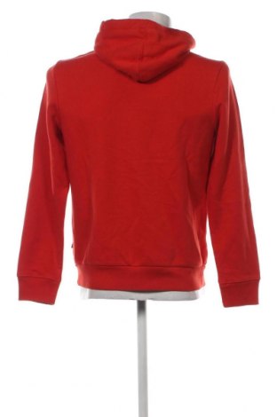 Ανδρικό φούτερ Napapijri, Μέγεθος S, Χρώμα Κόκκινο, Τιμή 68,88 €