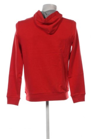 Herren Sweatshirt Napapijri, Größe M, Farbe Rot, Preis 80,50 €