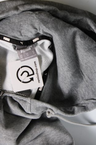 Ανδρικό φούτερ PUMA, Μέγεθος XL, Χρώμα Γκρί, Τιμή 34,02 €
