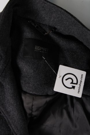 Pánsky kabát  Esprit, Veľkosť L, Farba Modrá, Cena  30,34 €