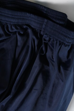 Ανδρικό αθλητικό παντελόνι, Μέγεθος L, Χρώμα Μπλέ, Τιμή 14,89 €