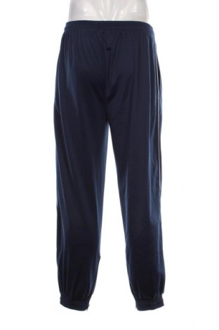 Ανδρικό αθλητικό παντελόνι, Μέγεθος L, Χρώμα Μπλέ, Τιμή 14,89 €