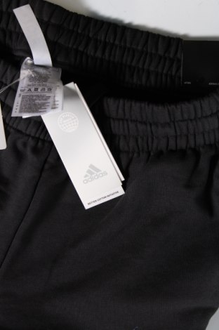 Ανδρικό αθλητικό παντελόνι Adidas, Μέγεθος L, Χρώμα Πολύχρωμο, Τιμή 47,94 €
