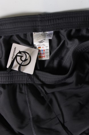 Ανδρικό αθλητικό παντελόνι Adidas, Μέγεθος L, Χρώμα Γκρί, Τιμή 25,36 €