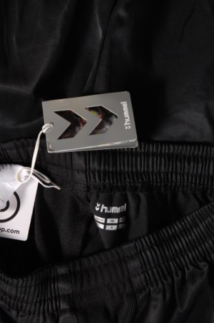 Ανδρικό αθλητικό παντελόνι Hummel, Μέγεθος L, Χρώμα Μαύρο, Τιμή 31,83 €