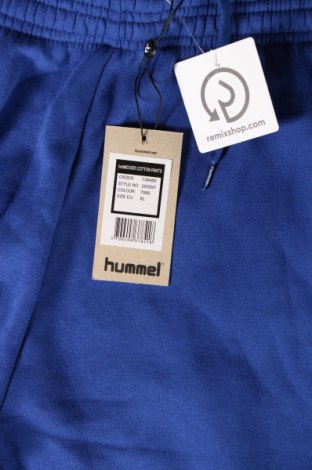 Herren Sporthose Hummel, Größe XL, Farbe Blau, Preis 17,26 €