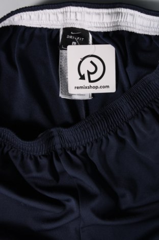 Ανδρικό αθλητικό παντελόνι Nike, Μέγεθος L, Χρώμα Μπλέ, Τιμή 25,36 €