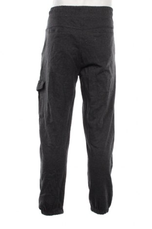 Ανδρικό αθλητικό παντελόνι Ronley, Μέγεθος L, Χρώμα Γκρί, Τιμή 15,25 €