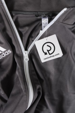 Ανδρική αθλητική ζακέτα Adidas, Μέγεθος M, Χρώμα Γκρί, Τιμή 55,67 €