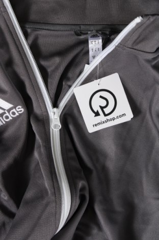 Męska bluza sportowa Adidas, Rozmiar M, Kolor Szary, Cena 270,60 zł