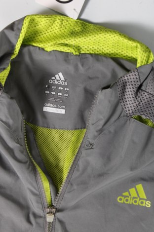 Herrenjacke Adidas, Größe L, Farbe Grau, Preis 59,85 €