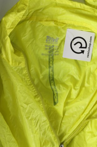 Ανδρικό μπουφάν Crivit, Μέγεθος XL, Χρώμα Κίτρινο, Τιμή 11,36 €