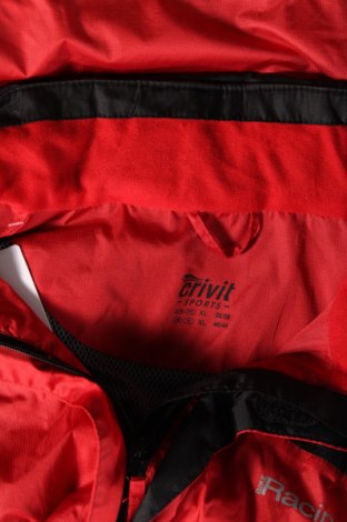 Pánska bunda  Crivit, Veľkosť XL, Farba Červená, Cena  13,78 €