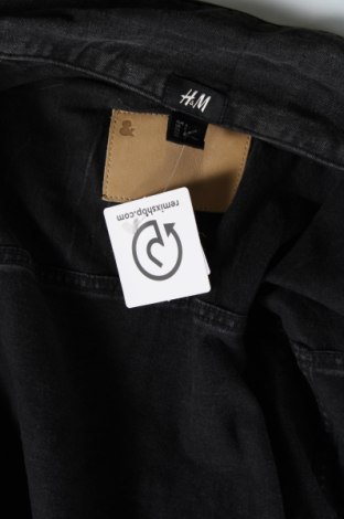 Ανδρικό μπουφάν H&M, Μέγεθος L, Χρώμα Γκρί, Τιμή 24,12 €