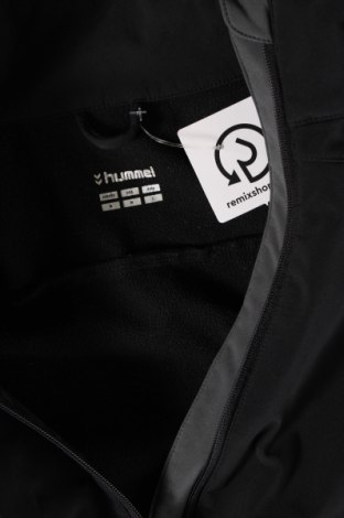 Ανδρικό μπουφάν Hummel, Μέγεθος M, Χρώμα Μαύρο, Τιμή 15,36 €