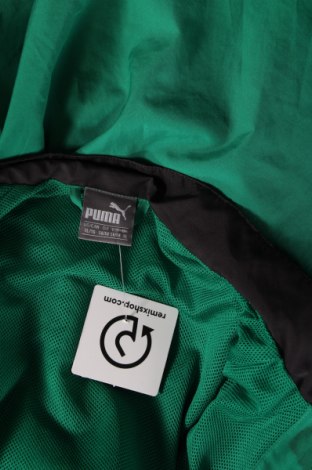 Herrenjacke PUMA, Größe XL, Farbe Grün, Preis 43,14 €