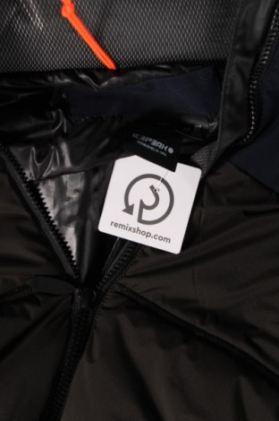 Pánská bunda pro zimní sporty  Icepeak, Velikost XL, Barva Vícebarevné, Cena  1 120,00 Kč
