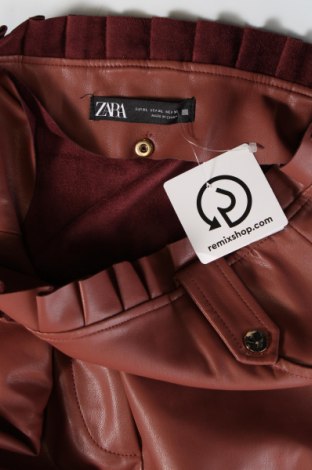 Φούστα Zara, Μέγεθος XL, Χρώμα Καφέ, Τιμή 10,21 €