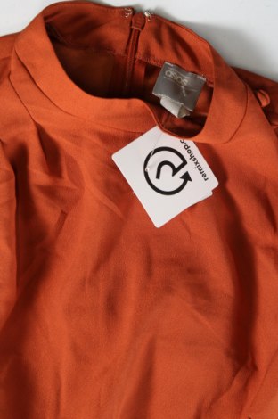 Kleid ASOS, Größe XS, Farbe Orange, Preis 33,40 €