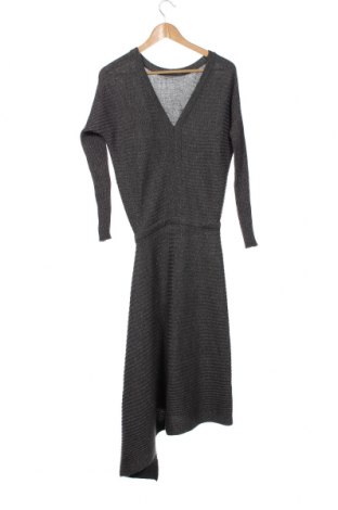 Kleid AllSaints, Größe XS, Farbe Grau, Preis € 143,30